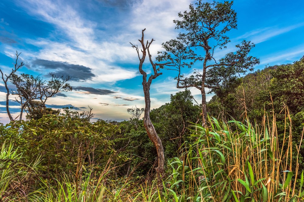 Одиночество