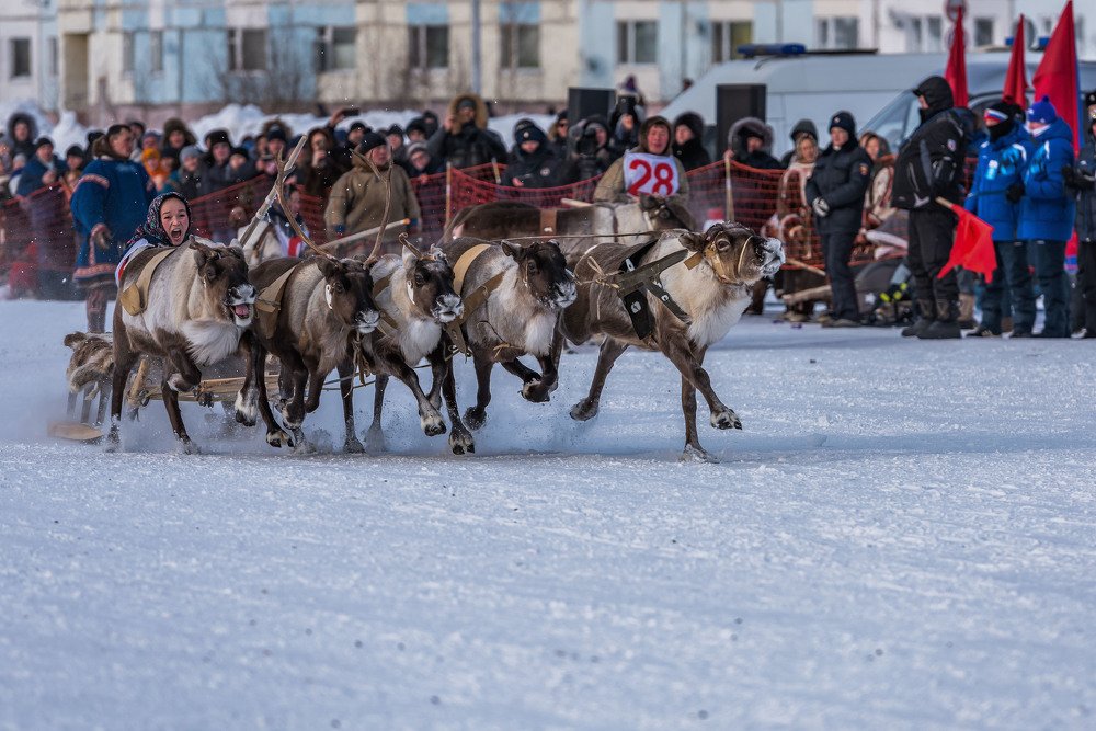 День Оленевода 2019