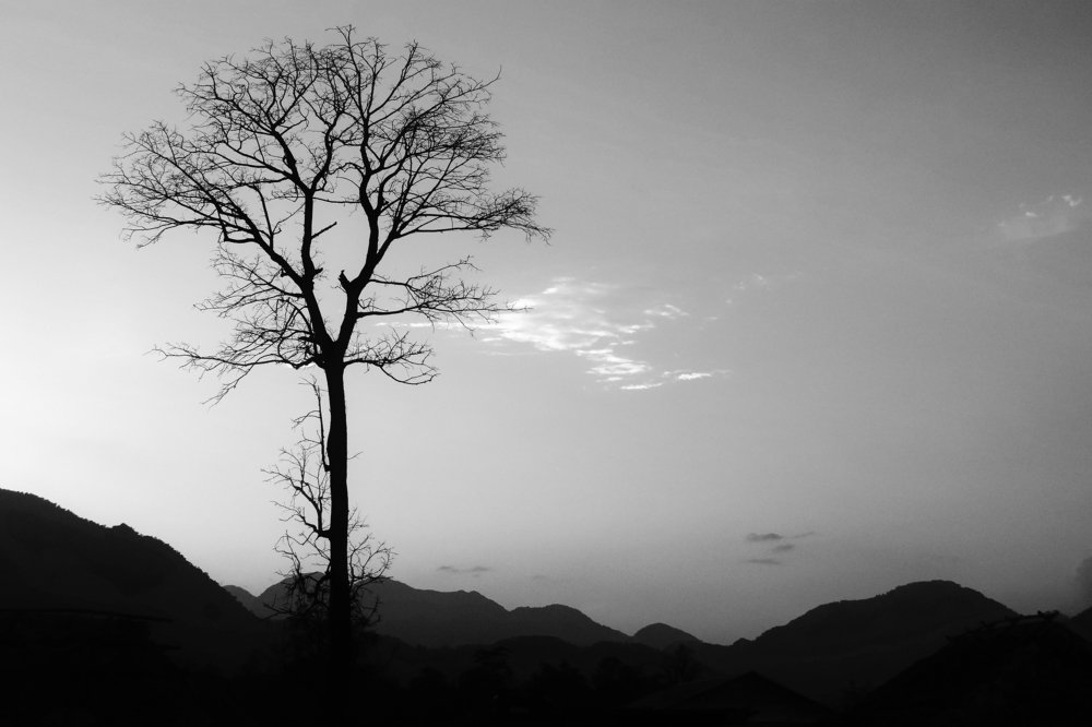 Photograph by Tanmoy Das