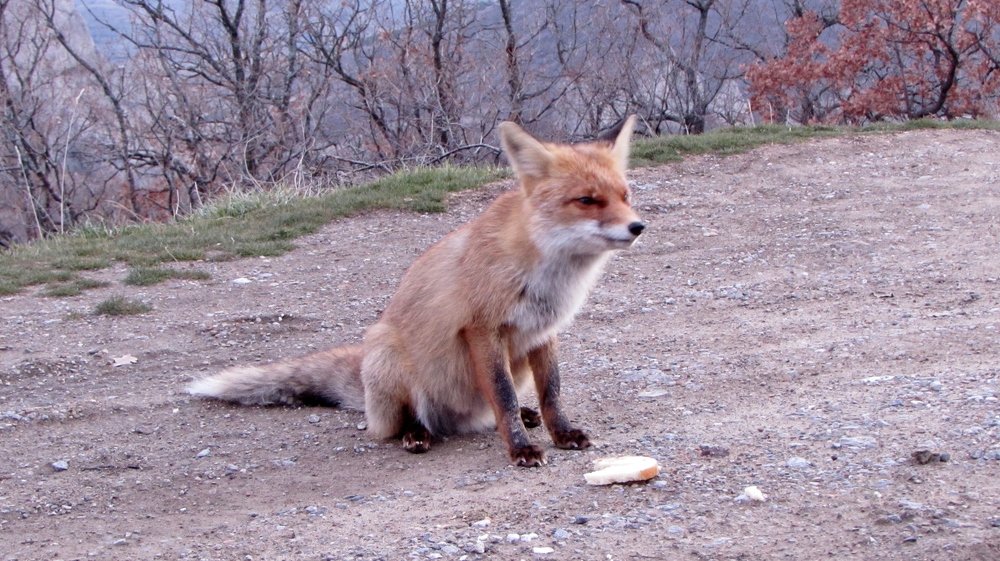 Голодная зима в Крыму