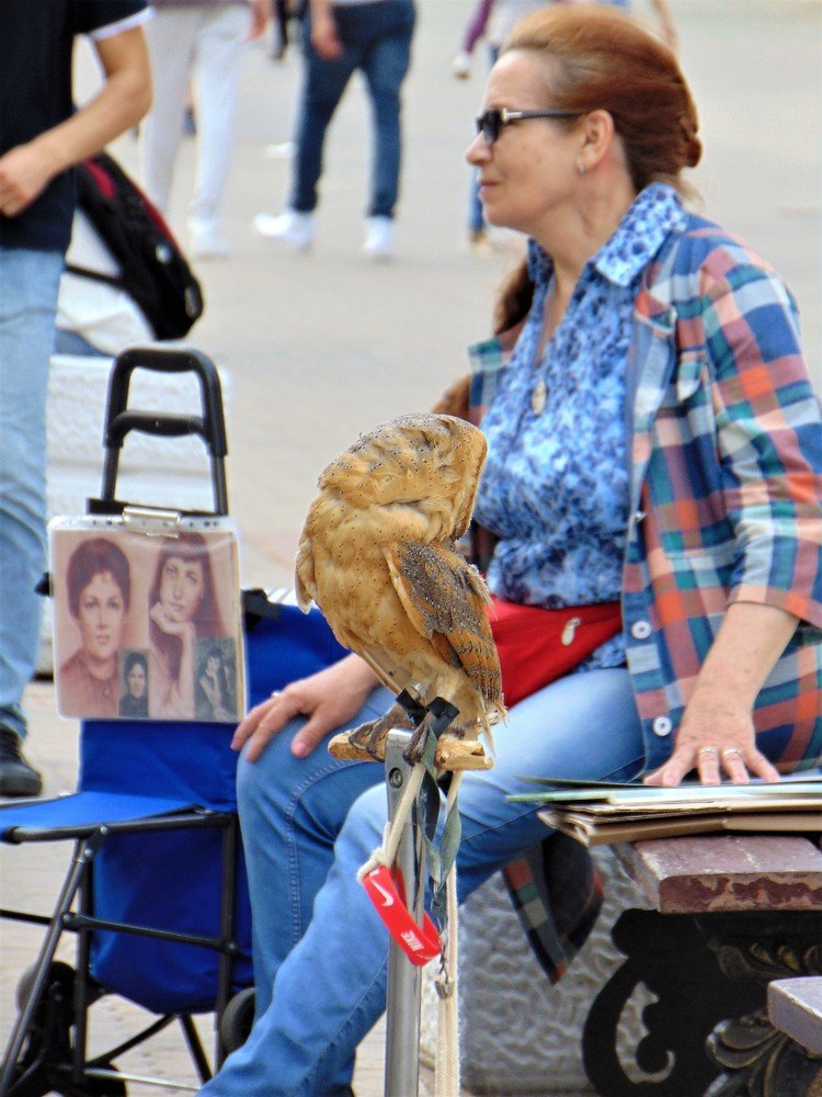 Photograph by Ольга Шевцова