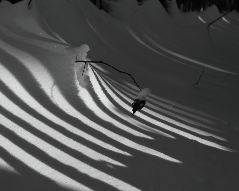 Тень на плетень