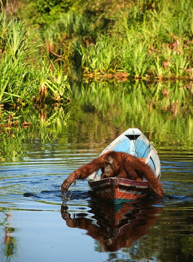 Photograph by Сергей Урядников