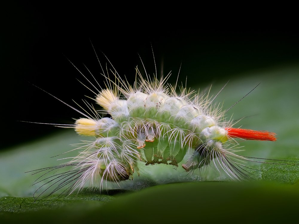 Photograph by Евгений Лукашук