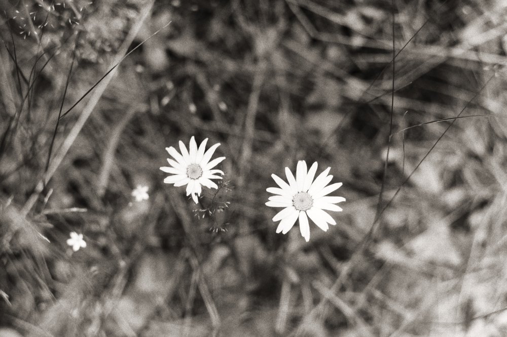 Photograph by Максим
