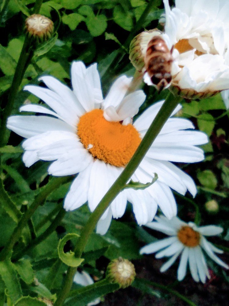 Photograph by Светлана Замятина