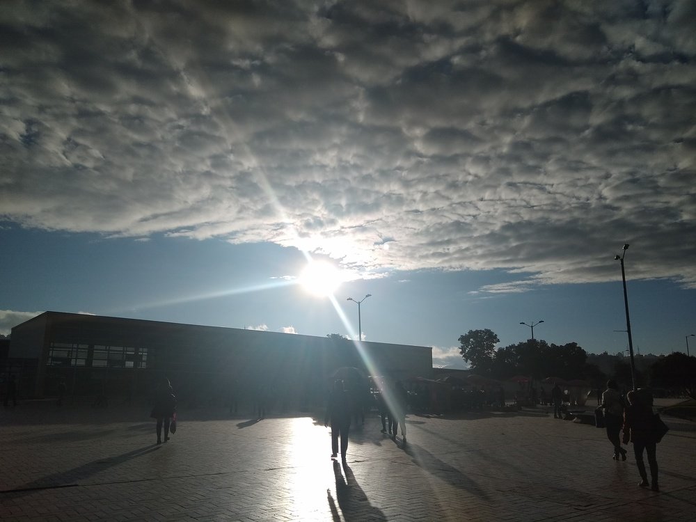 Photo #4255904