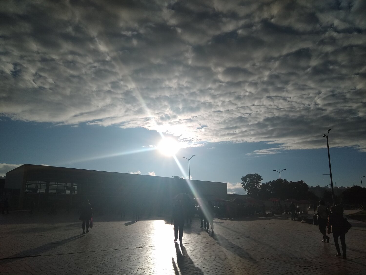 Photo #4255904