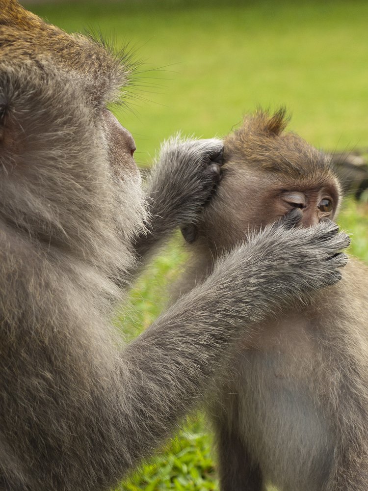 Офтальмолог