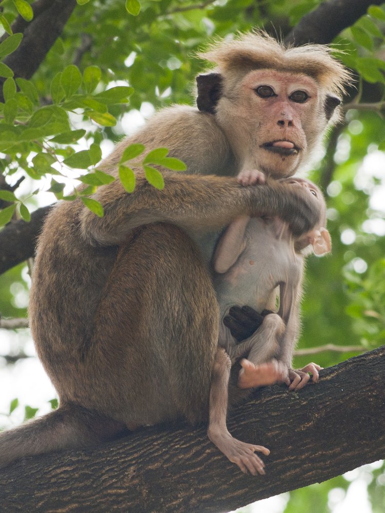 Photograph by Александр