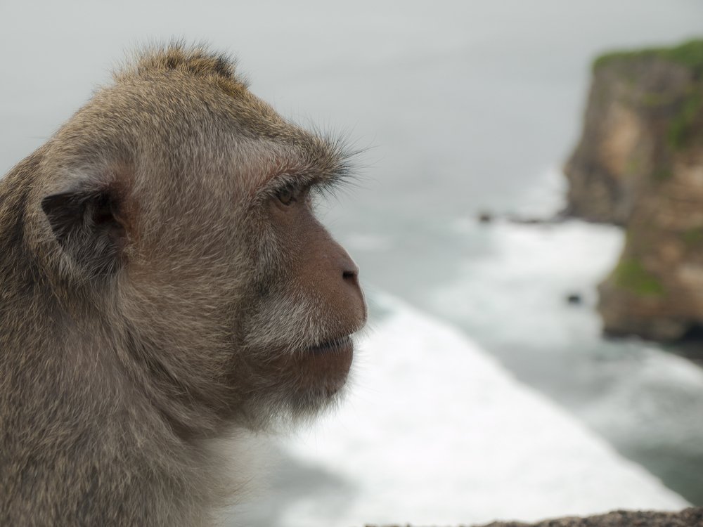 Photograph by Александр