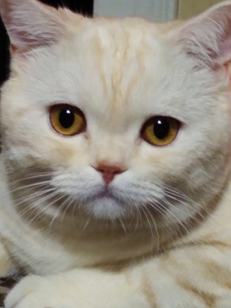 Что ты хочешь, мой человек?