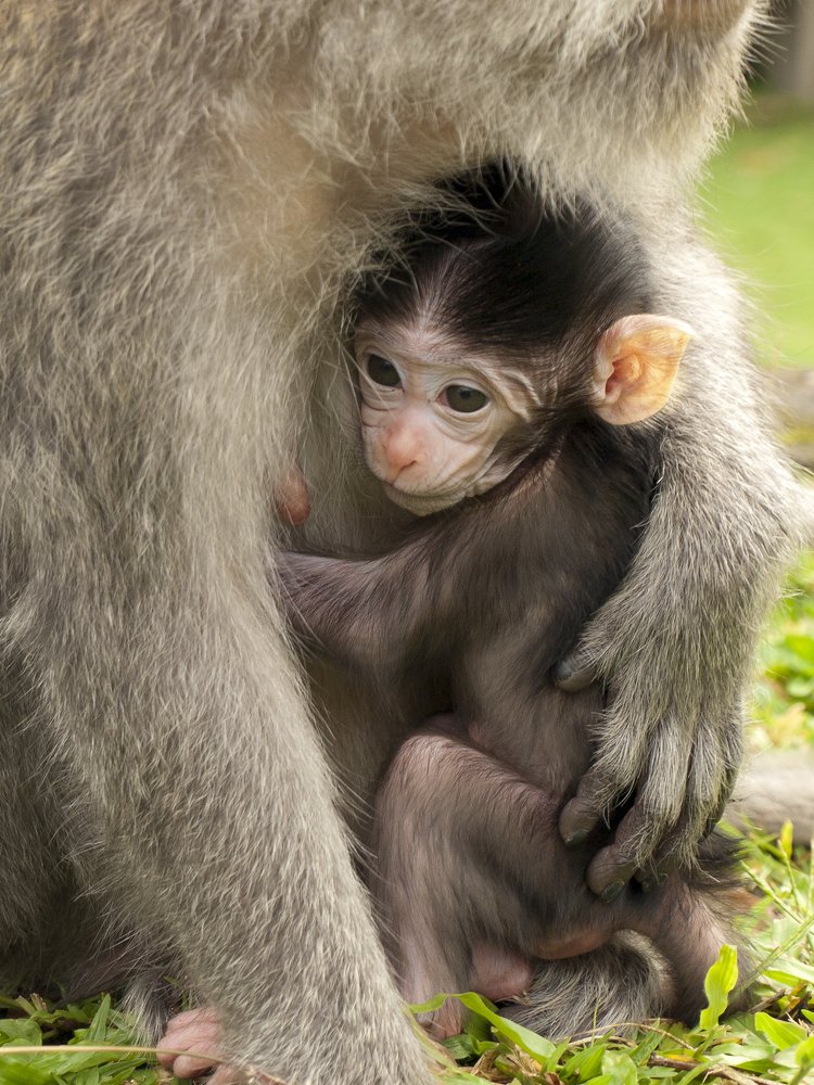 Photograph by Александр