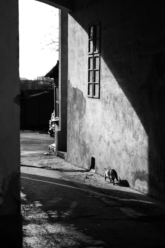 Обычная подворотная история...