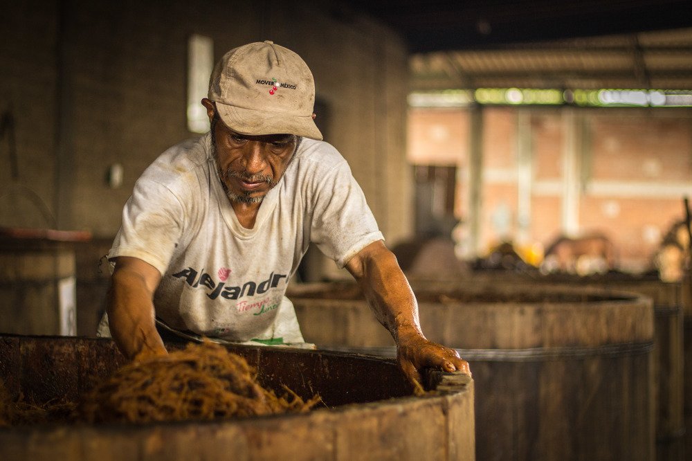El Trabajo duro mexicano