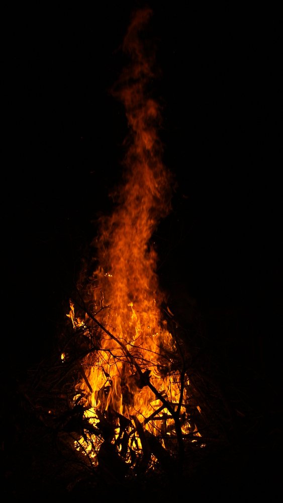 Photo #4256220