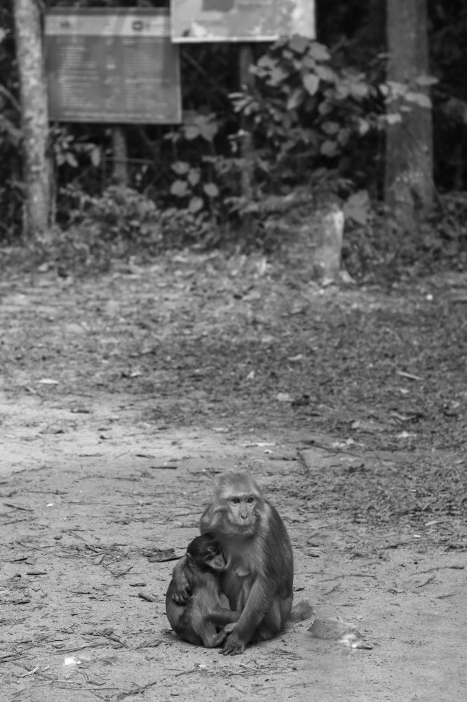 Photograph by Fakrul hasan