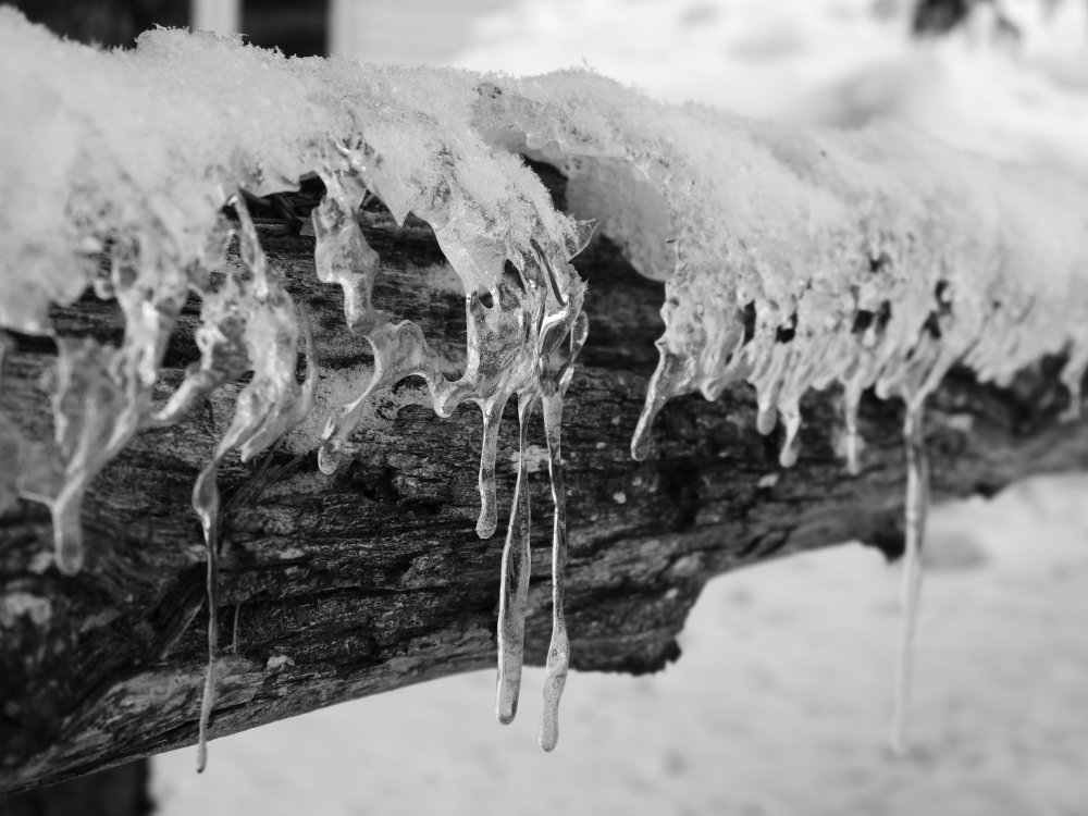 Photograph by Josée Beauchemin