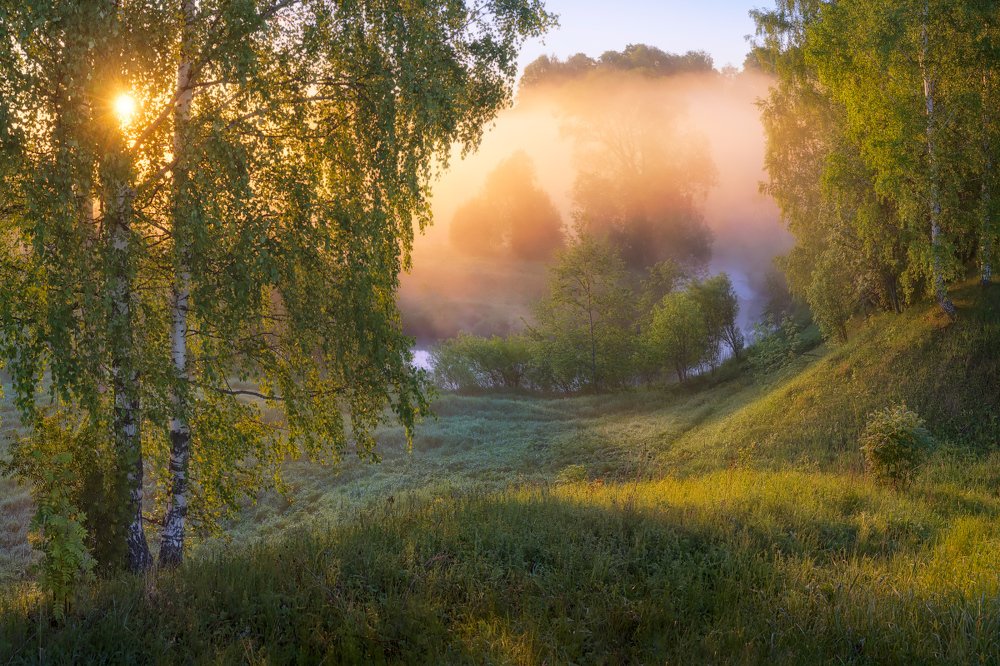 Фотография автора Дмитрий Медянцев