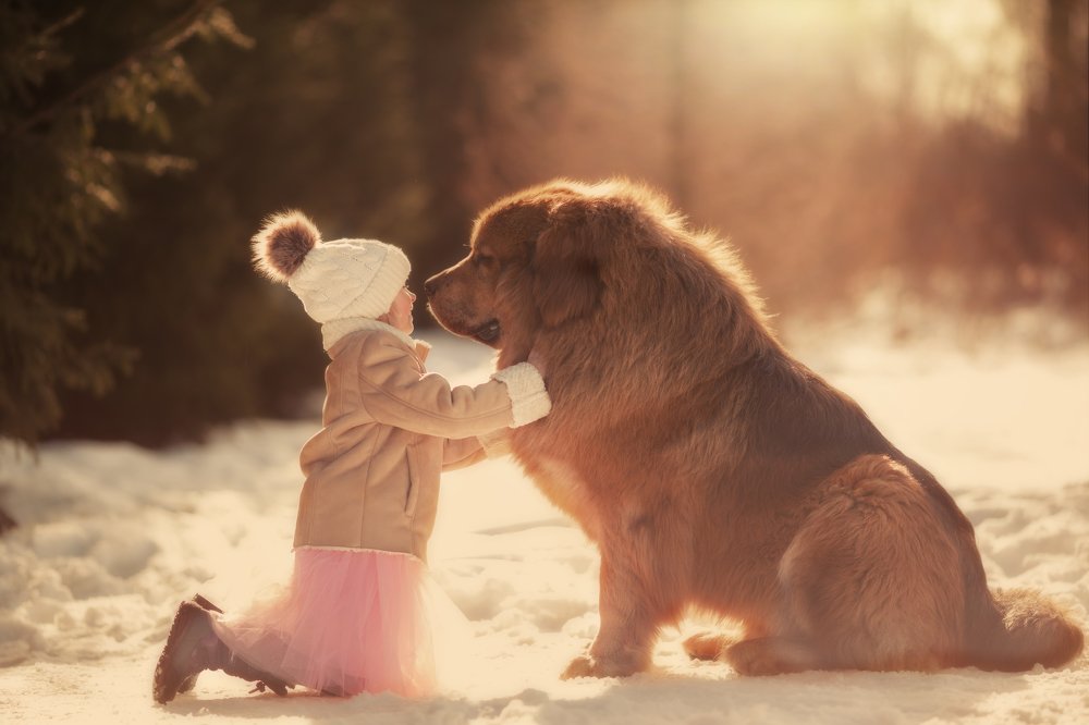 Человек собаке друг