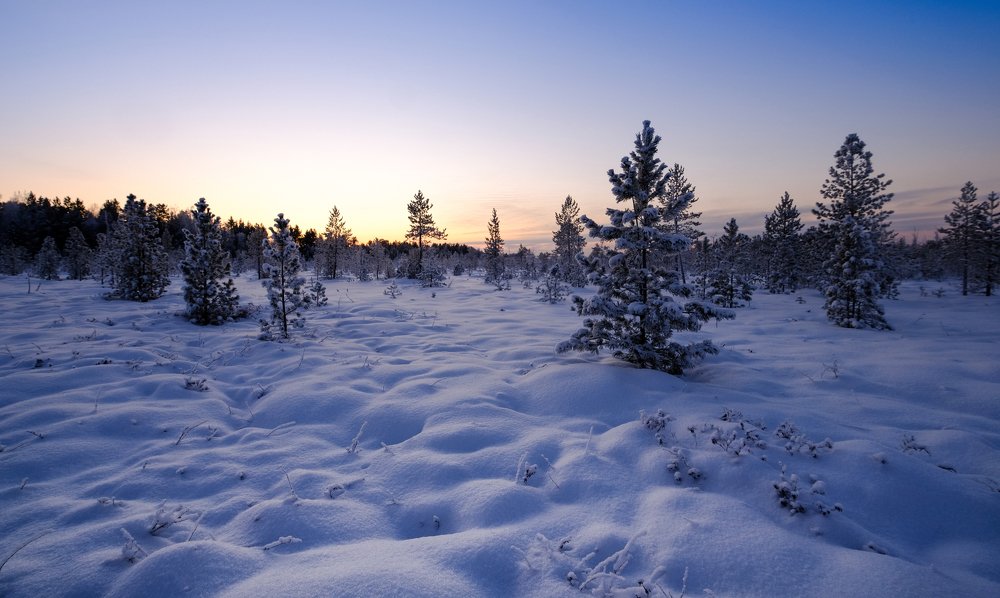 Photograph by Роман Грушевский