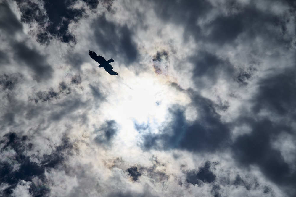 Photograph by Макс Карпович