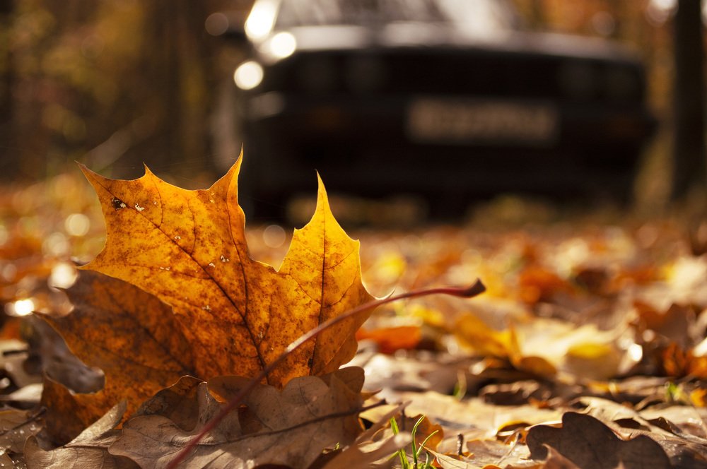 Photograph by Анна Толмачёва