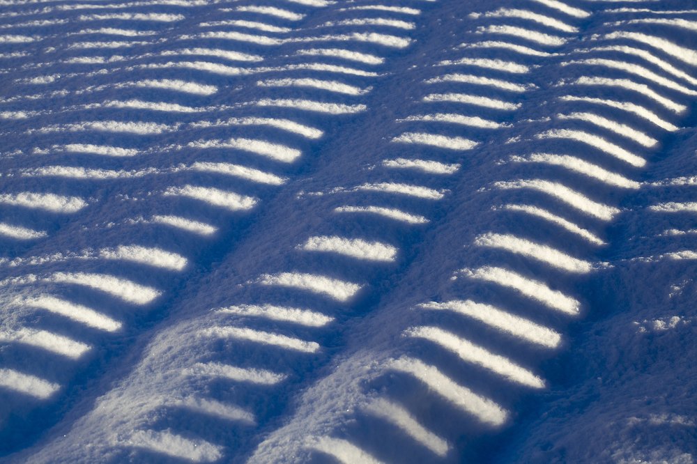 Photograph by Игорь Лейчонок