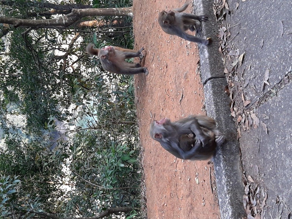 Photo #4256574