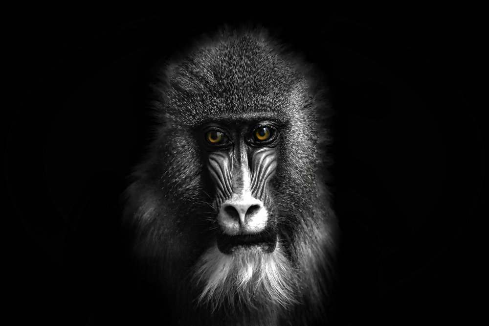 Фотография автора Evgeniya Fedorova