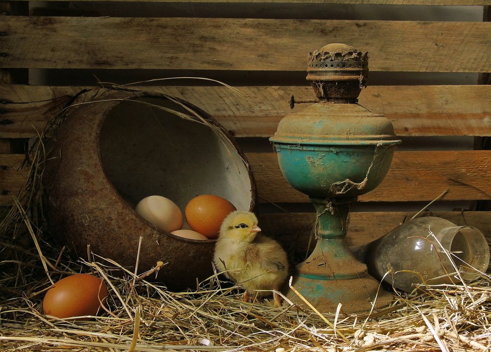 Деревенский