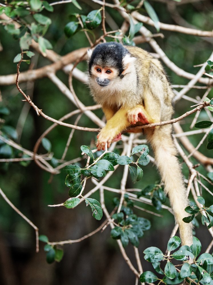 Photograph by Павел Шистко