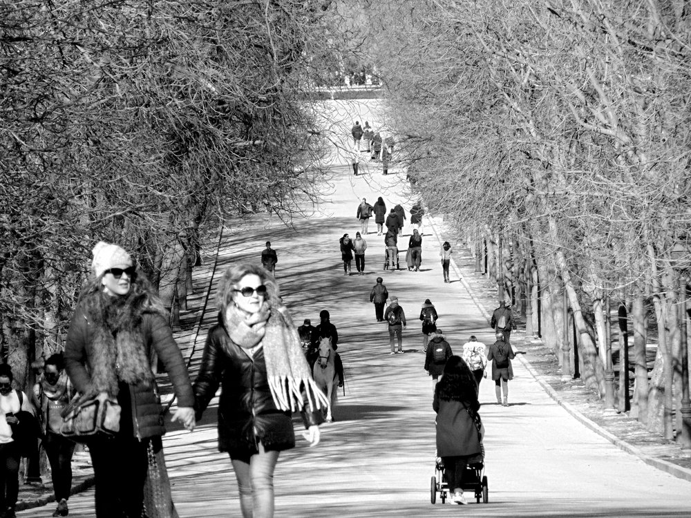 Photograph by Jorge Maroto Cuadrado