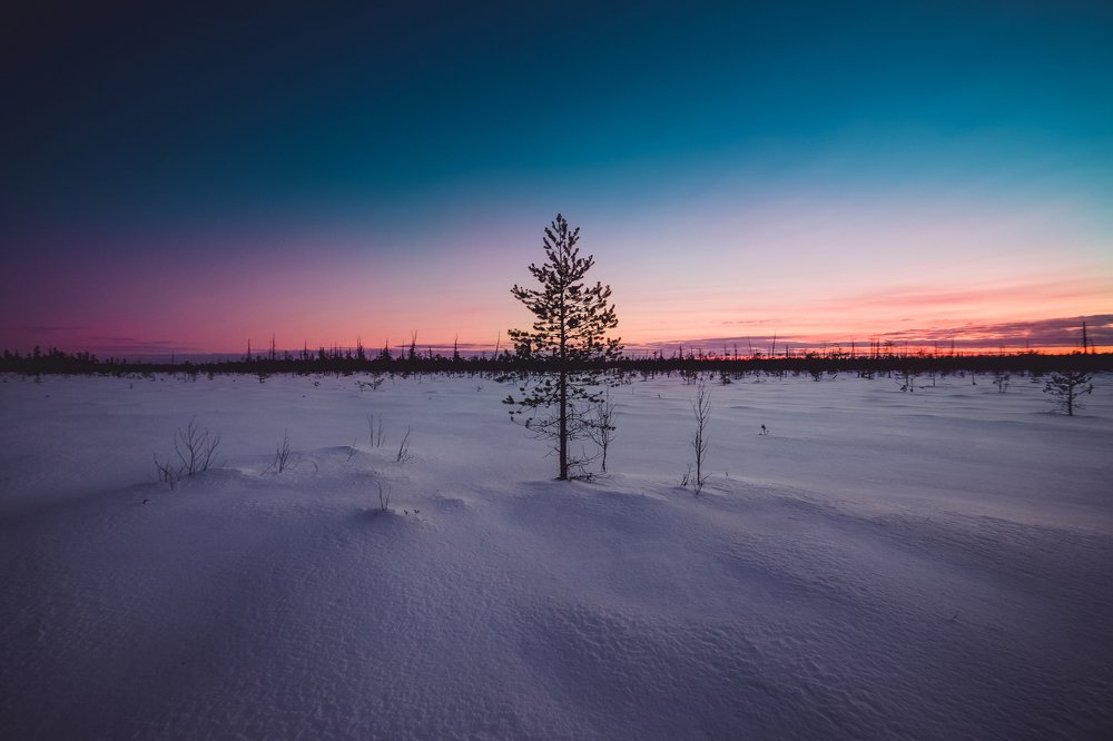 Вечная мерзлота