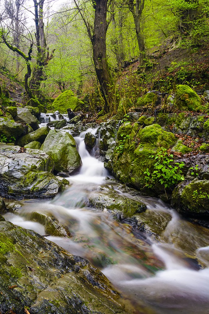 Фотография автора Majid Varasteh