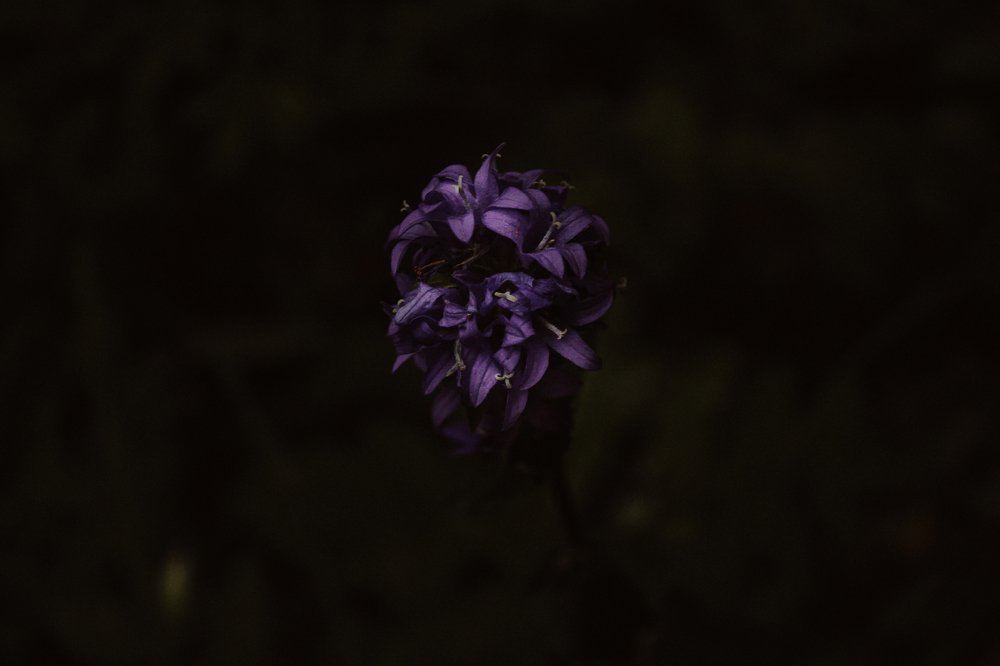 Photograph by Владислав Котлованов