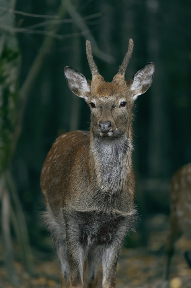 Photograph by Константин Кукушкин