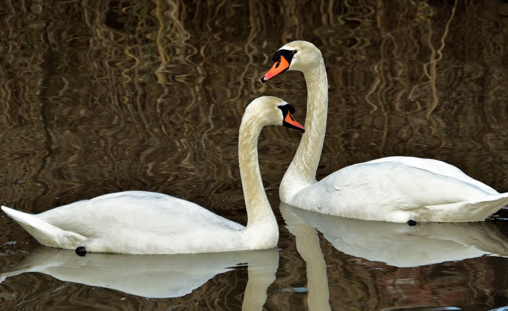 Фотография автора Антип