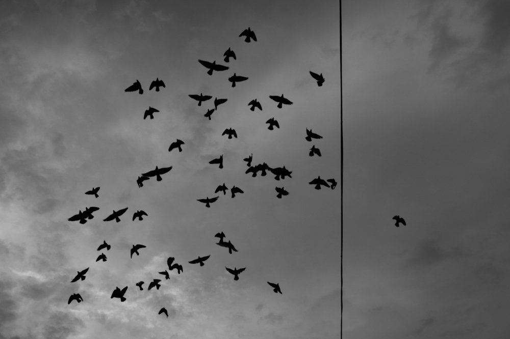 Photograph by Matin Mohammadzadeh