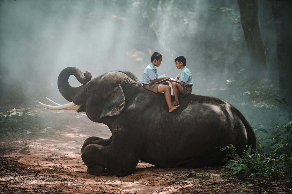 Photograph by SUTIPOND SOMNAM