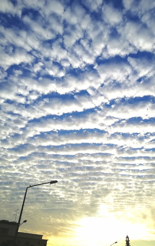 Photo #4257101