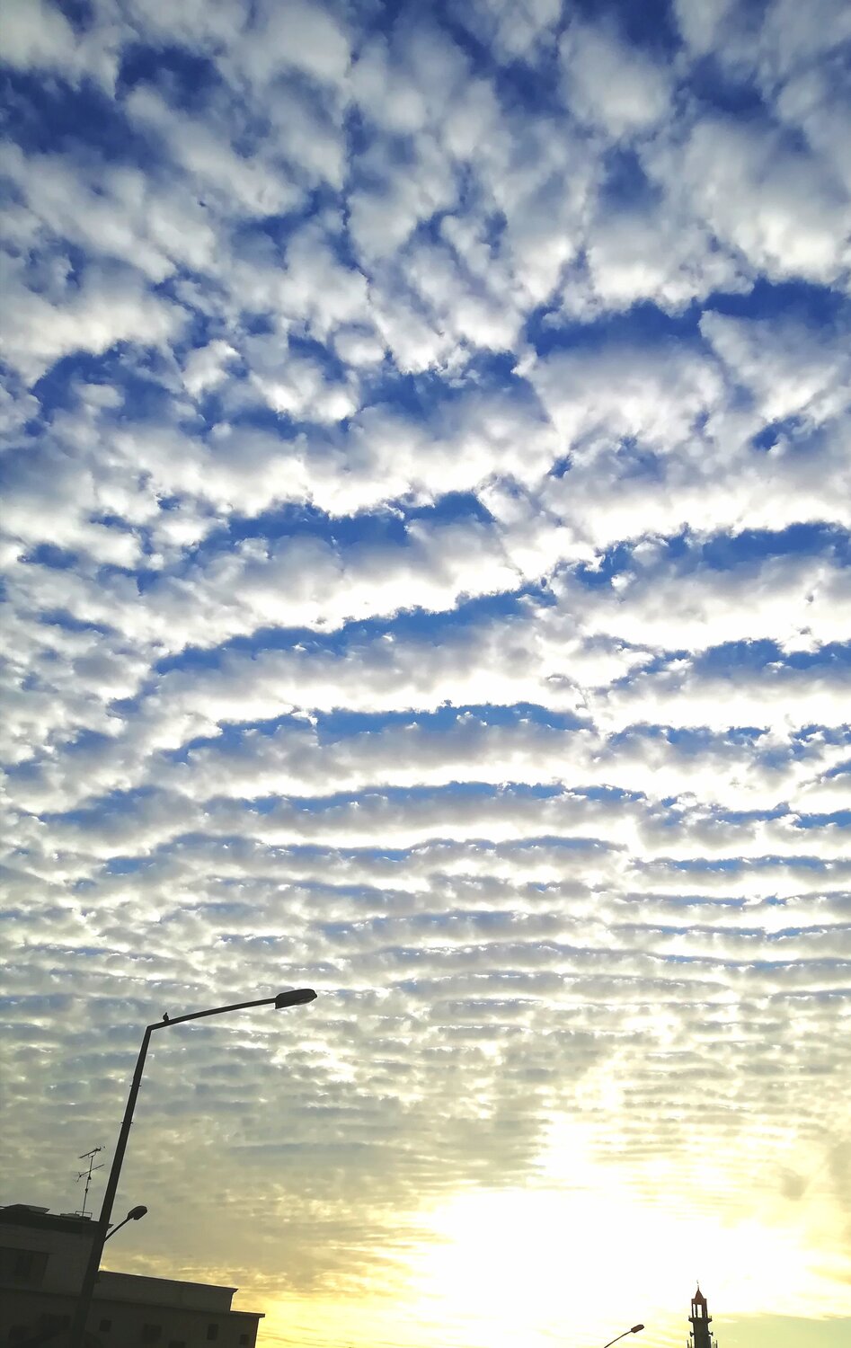 Photo #4257101