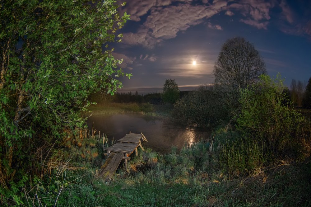 Photograph by Марина Мурашова