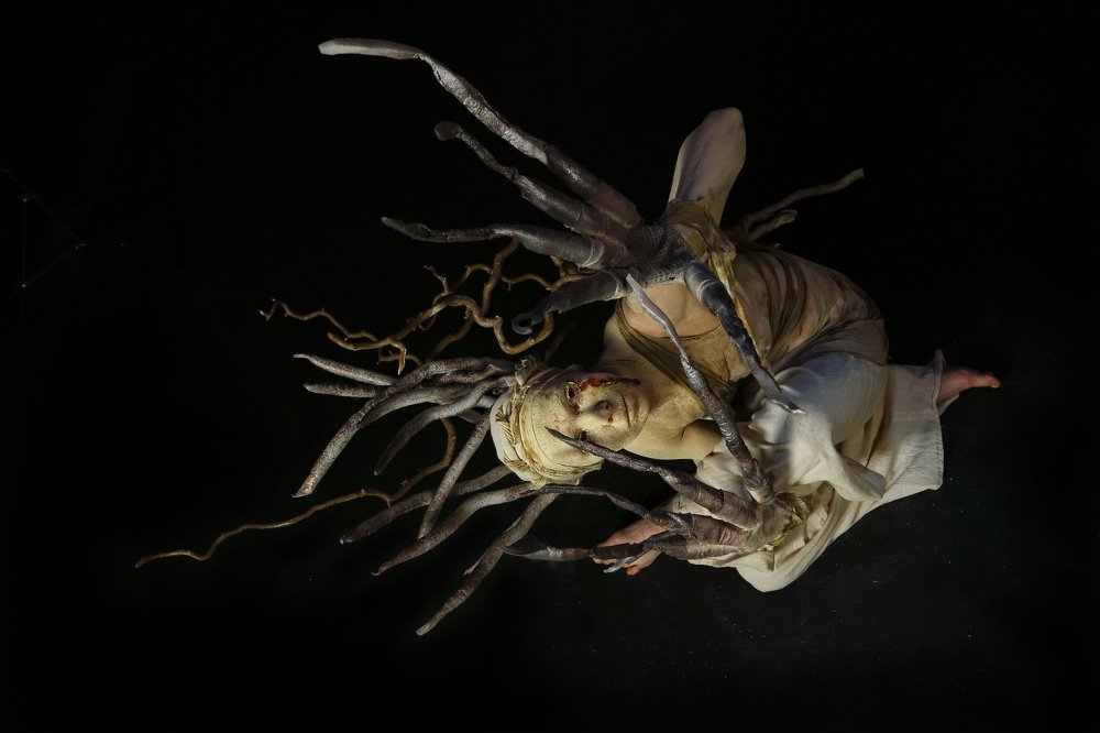 Рождение жизни. Birth of life