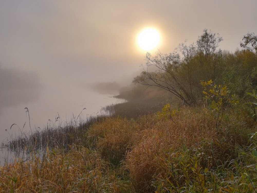 Photograph by Марина Мурашова