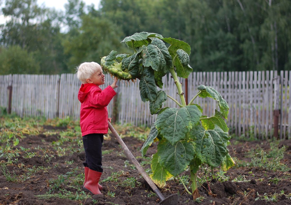 - Не бойся, тебя не стяпаю :)