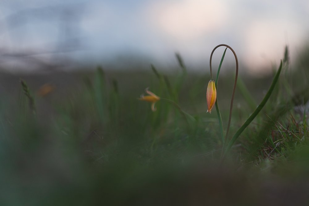 Photograph by Илья Михеев