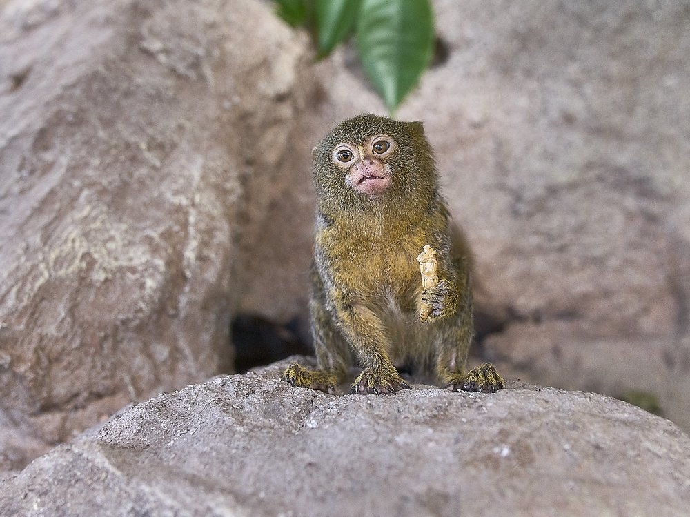 Photograph by Елена Мормоль