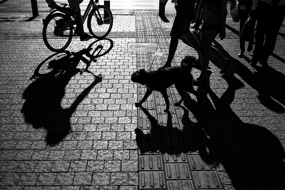 Фотография автора Bobus