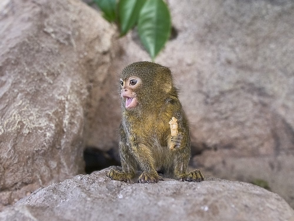 Photograph by Елена Мормоль